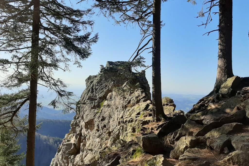 Gemuetliche Ferienwohnung Fuer 4 Gaeste In Schoenwald Schoenwald im Schwarzwald Exterior photo