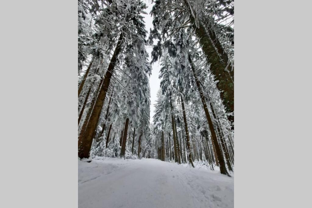 Gemuetliche Ferienwohnung Fuer 4 Gaeste In Schoenwald Schoenwald im Schwarzwald Exterior photo